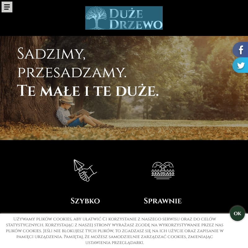 Przesadzanie dużych drzew