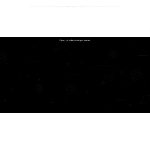 Zestaw pojemników warsztatowych